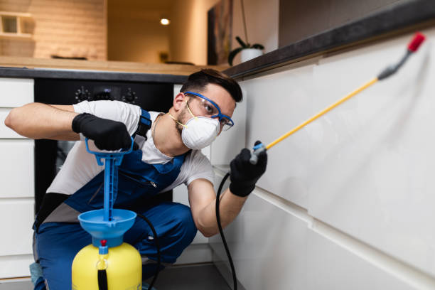 Pest Control for Restaurants in Whitefish, MT