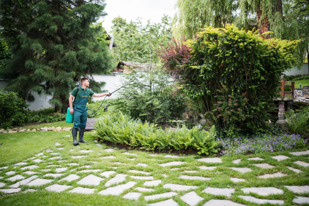Best Pest Control for Restaurants  in Whitefish, MT