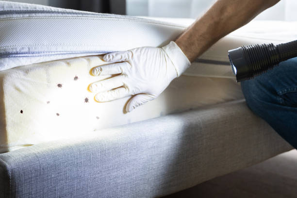 Best Exterminator Services  in Whitefish, MT