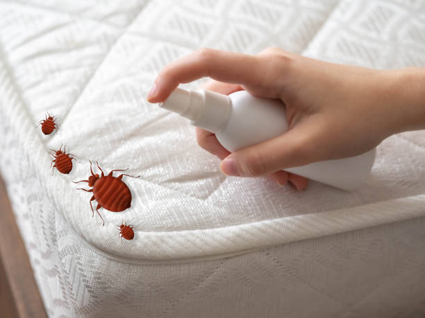 Best Affordable Pest Control Services  in Whitefish, MT