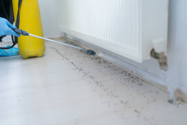 Best Cockroach Control Services  in Whitefish, MT